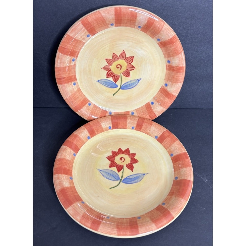 2 Pfaltzgraff Napoli Bread and Butter Plates 6 1/4" Hand Painted Floral